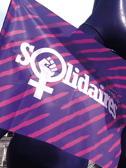 DRAPEAU - FEMINISTE + HAMPE