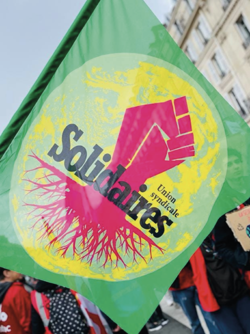 DRAPEAU - SOLIDAIRES ECO (ARBRE RACINE) + HAMPE